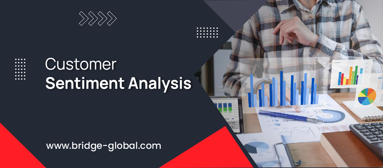 Customer Sentiment Analysis – Why It Matters?