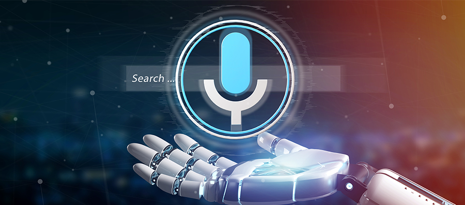 Understanding Voice AI