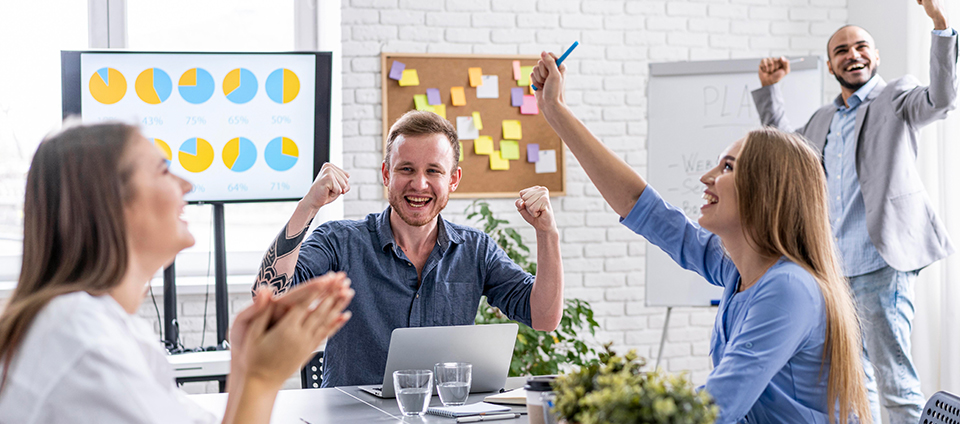 Solution Architect - Driving Software Project Success Through Strategic Design