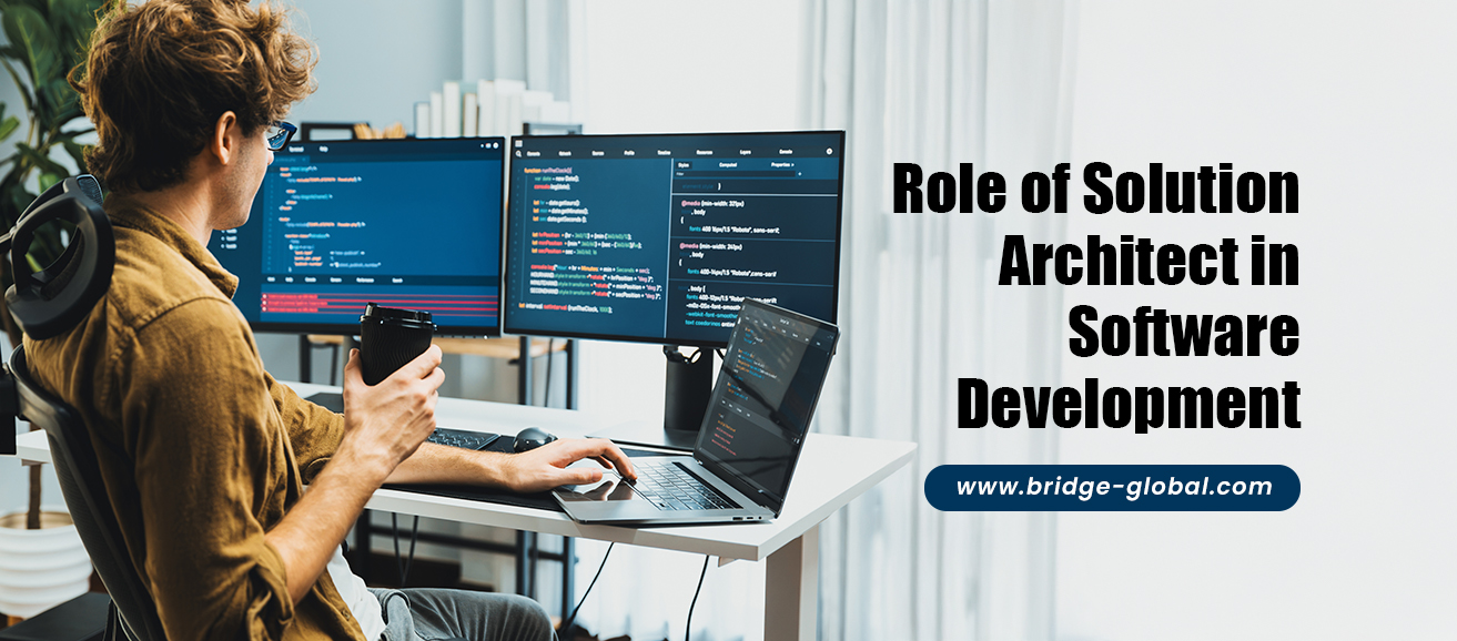 Why Every Software Project Needs a Solution Architect