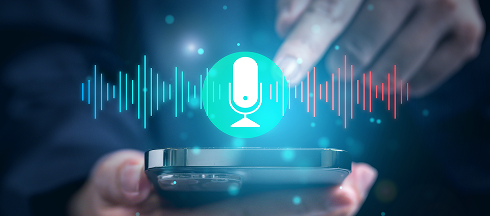 What Lies Ahead for Voice Commerce